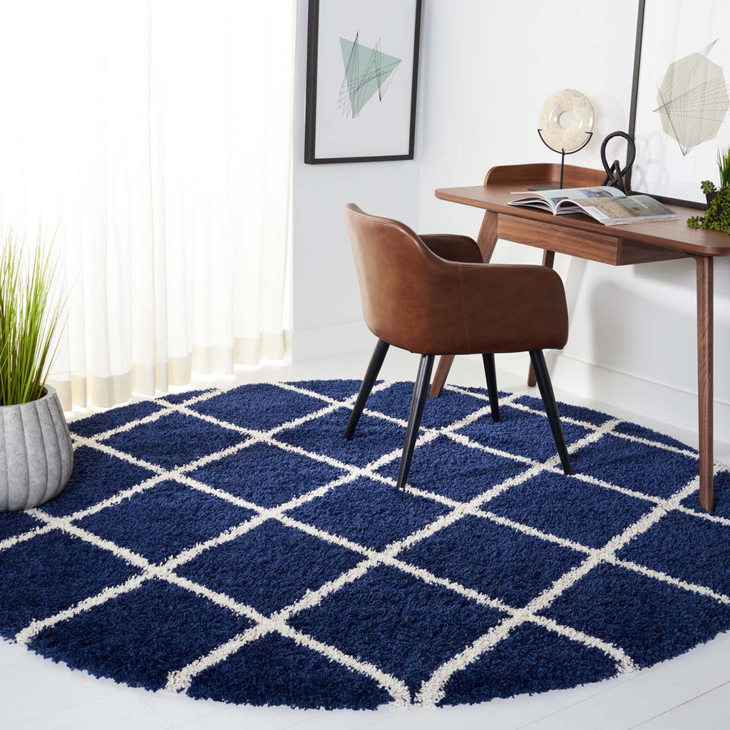 Safavieh Hudson Shag 222 Rug, SGH222