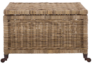 Sanaki Storage Bin - Brown | Savfavieh - STG5400A