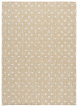 Terrace 806 Rug | Safavieh – TER806