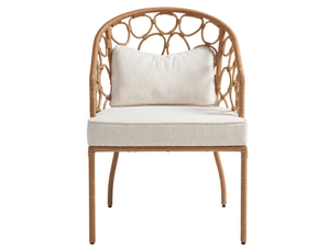 Descriptive image text