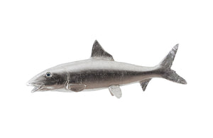 Bonefish Wall Sculpture, Resin, Silver Leaf | Phillips Collection - PH66835