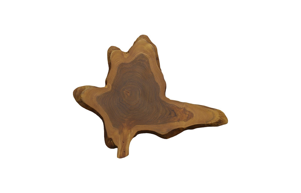 Freeform Teak Wall Slice, Md, Natural | Phillips Collection - ID114682