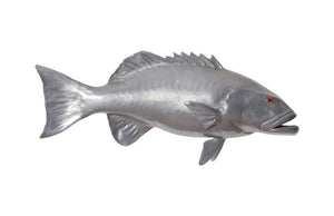 Coral Trout Fish Wall Sculpture, Resin, Polished Aluminum Finish | Phillips Collection - PH64544
