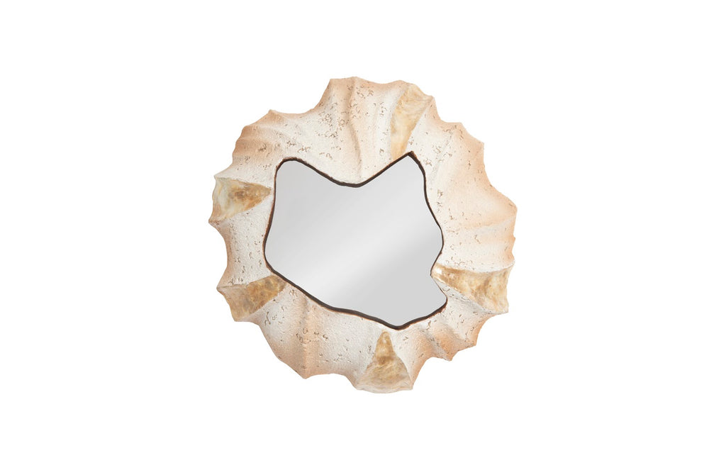 Barnacle Wall Art | Phillips Collection - PH75346