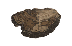 Cast Petrified Wood Wall Tile, Resin | Phillips Collection - PH94505