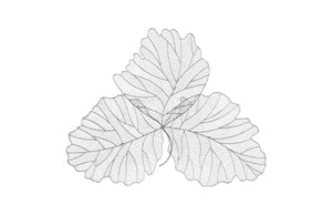 Tri Leaf Wall Art, Large, Metal, Silver/Black | Phillips Collection - TH100857