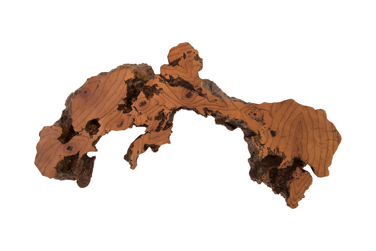Burled Root Wall Art, Medium, Faux Bois Finish | Phillips Collection