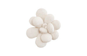 Oviferum Succulent Wall Art , White Stone | Phillips Collection - PH104154