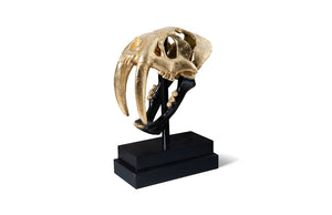 Saber Tooth Tiger Skull, Black, Gold Leaf | Phillips Collection - PH67580