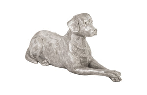 Labrador, Laying, Silver Leaf | Phillips Collection - PH81459