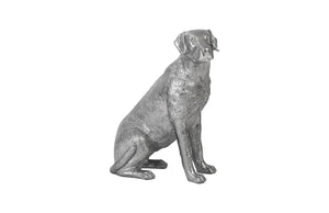 Labrador, Liquid Silver | Phillips Collection - PH95581