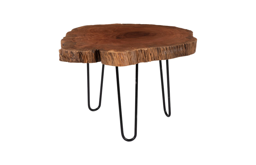 Burled Coffee Table, Black Metal Legs, Small | Phillips Collection - TH109378