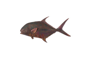 Permit Fish Wall Sculpture, Resin, Copper Patina Finish | Phillips Collection - PH99971