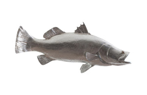Barramundi Fish Wall Sculpture, Resin, Silver Leaf | Phillips Collection - PH62414