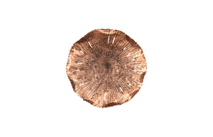 Lotus Wall Art, Copper/Black, Sm | Phillips Collection - TH96156
