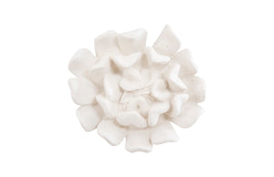 Topsy Turvy Succulent Wall Art , White Stone | Phillips Collection - PH104152