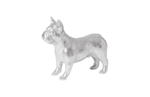 French Bulldog, Silver | Phillips Collection - PH99970