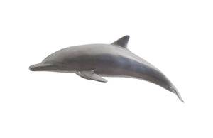 Dolphin, Polished Aluminum | Phillips Collection - PH64554