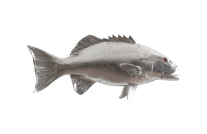 Coral Trout Fish Wall Sculpture, Resin, Silver Leaf | Phillips Collection - PH64543