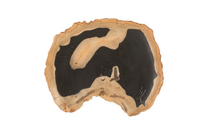 Cast Petrified Wood Wall Tile, Resin, Thin | Phillips Collection - PH92564