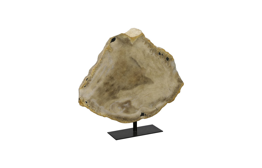 Cast Petrified Sculpture, On Metal Stand | Phillips Collection - PH112764