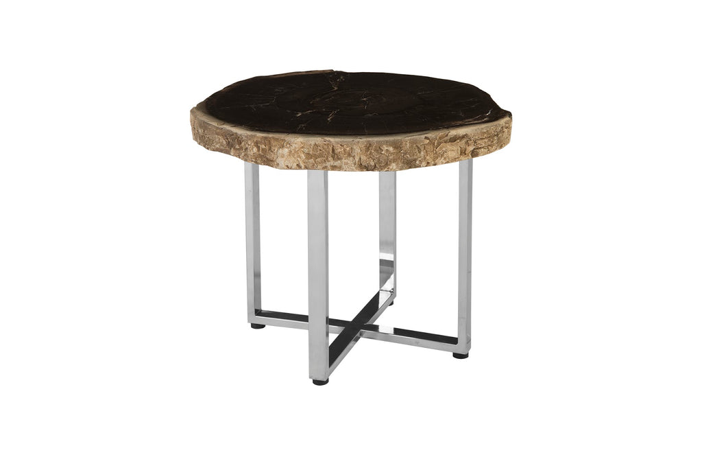 Petrified Wood Coffee Table, Ss Legs, Assorted | Phillips Collection - ID85629