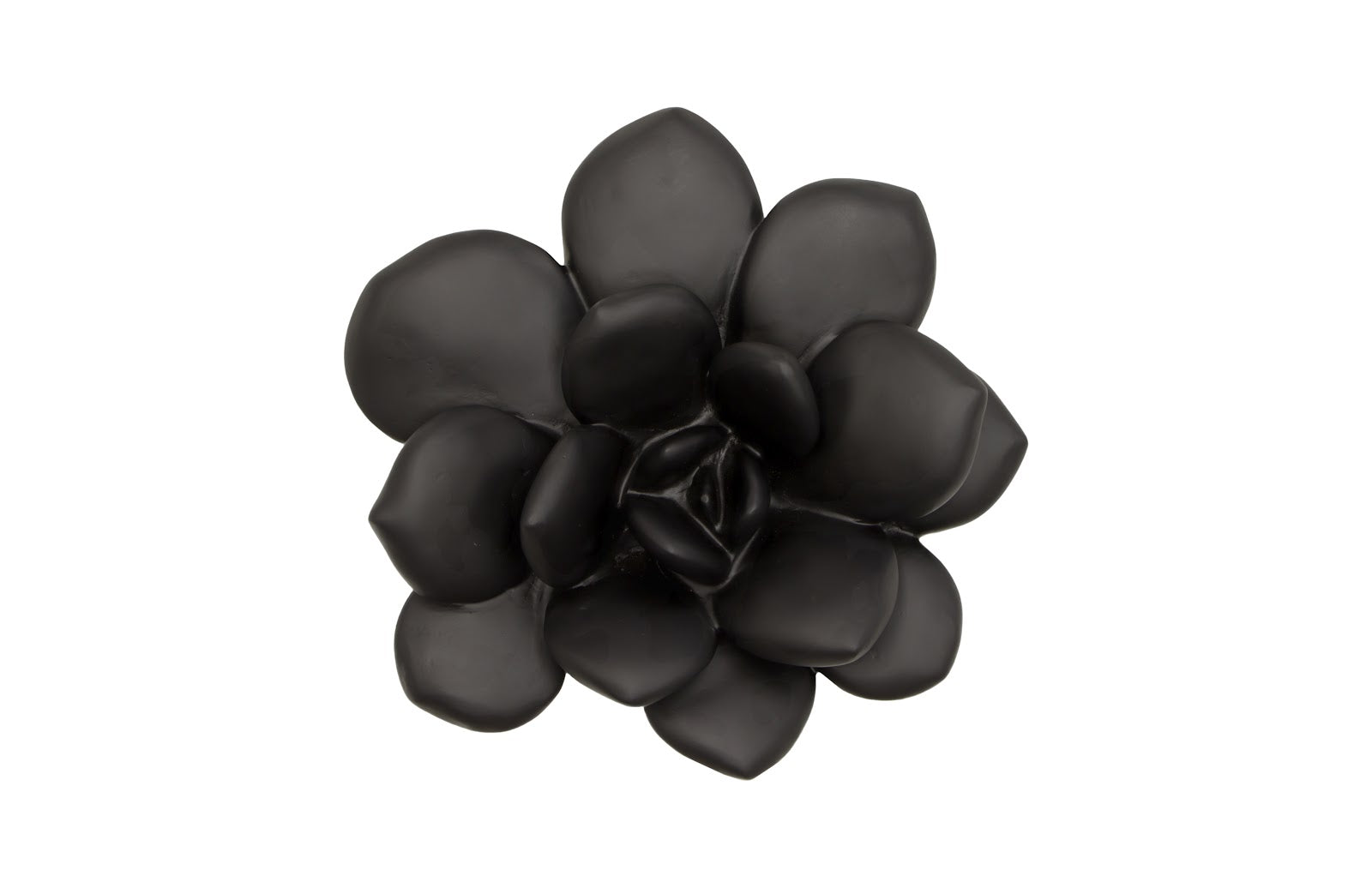 ceramic succulent wall decor Phillips Collection Laui Succulent Wall Art, Smooth Matte Black