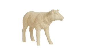 Texelaar Sheep, Lamb, Cream | Phillips Collection - PH60415