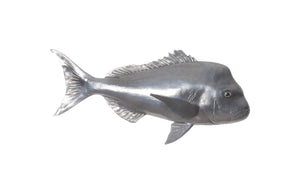 Australian Snapper Fish Wall Sculpture, Resin, Polished Aluminum Finish | Phillips Collection - PH64556