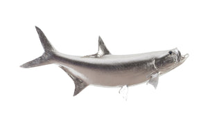 Tarpon Fish Wall Sculpture, Resin, Silver Leaf | Phillips Collection - PH66834