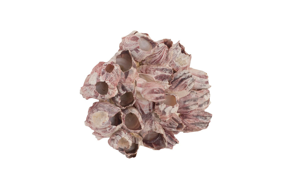 Barnacle Cluster Wall Art, Lg | Phillips Collection - PH97075