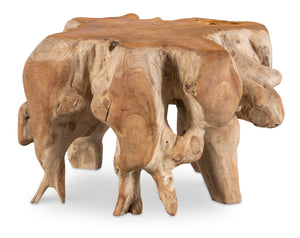 Hunter Teak Root Accent Table | Century Furniture - SF6315