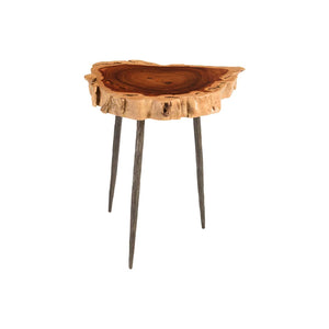 Burled Side Table, Forged Legs | Phillips Collection - TH81211