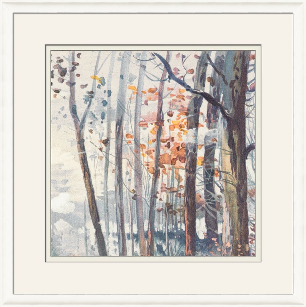 misty-trees-iii-wendover-10648