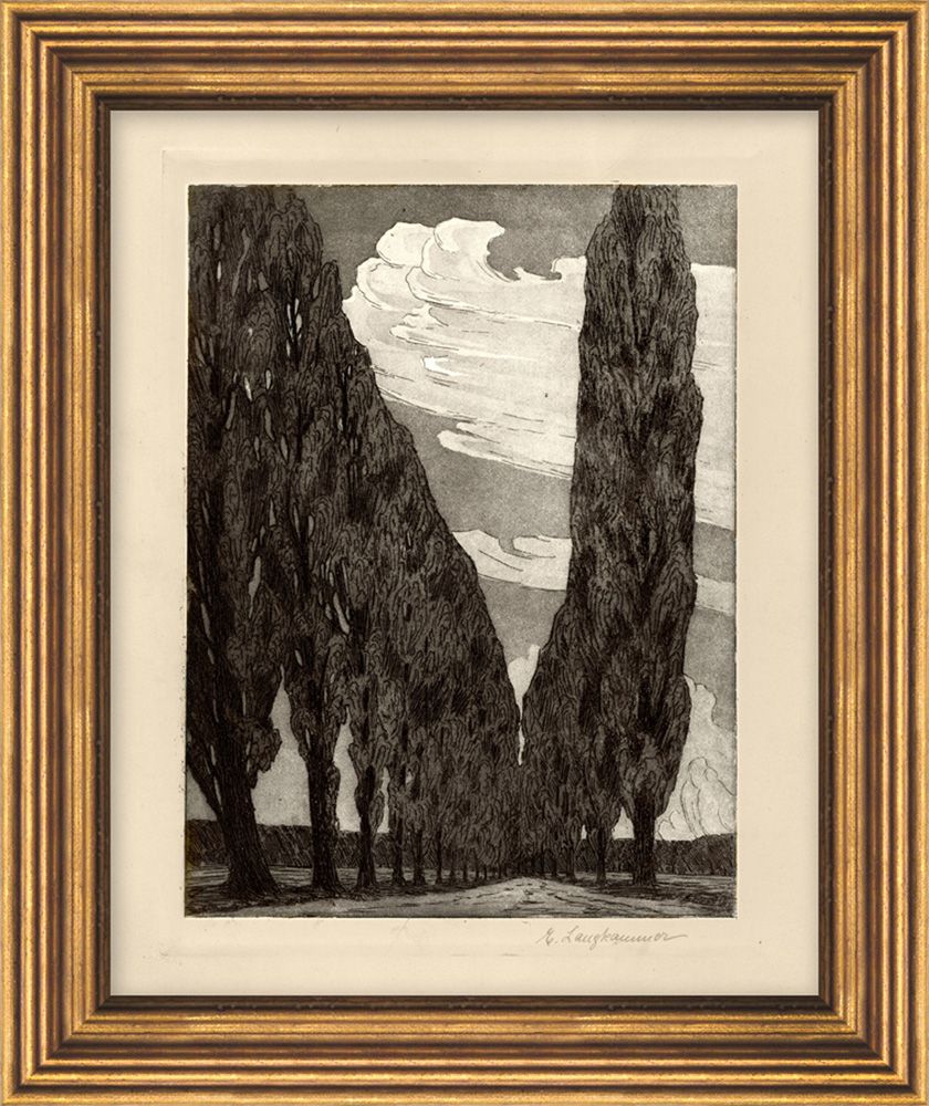 cypress-tree-1-wendover-11460