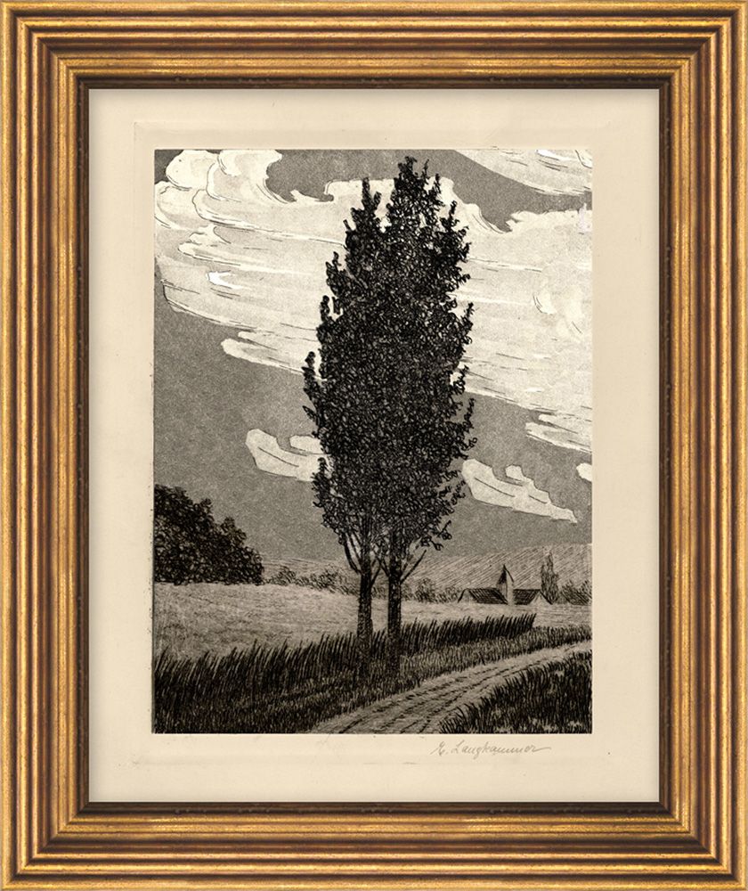 cypress-tree-2-wendover-11461