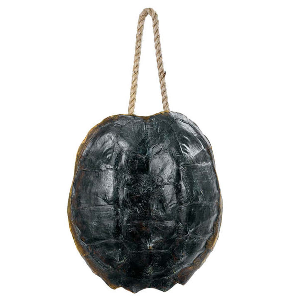 Regina Andrew Turtle Shell Accessory (Natural)