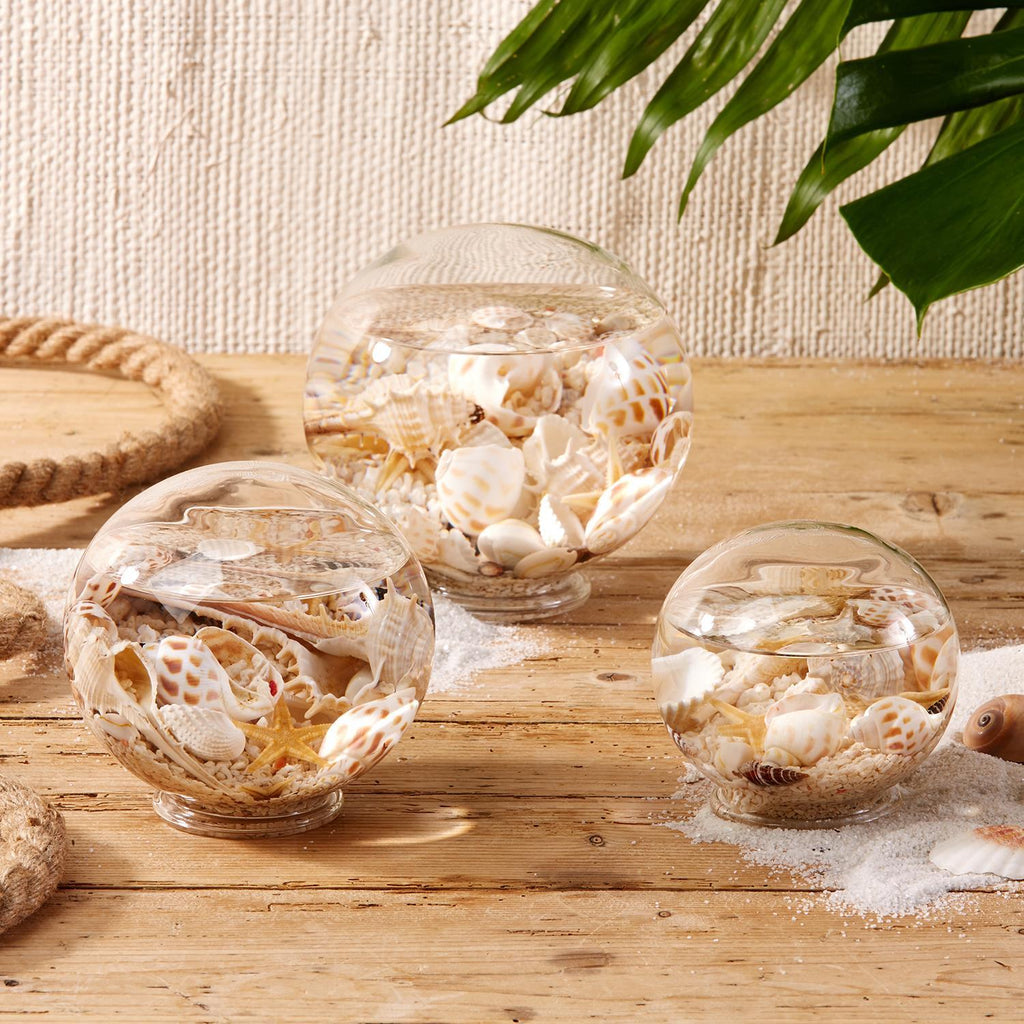 Two's Company Atlantis Decorative Filled Globes in Assorted Shells and Starfish  (includes 3 sizes)