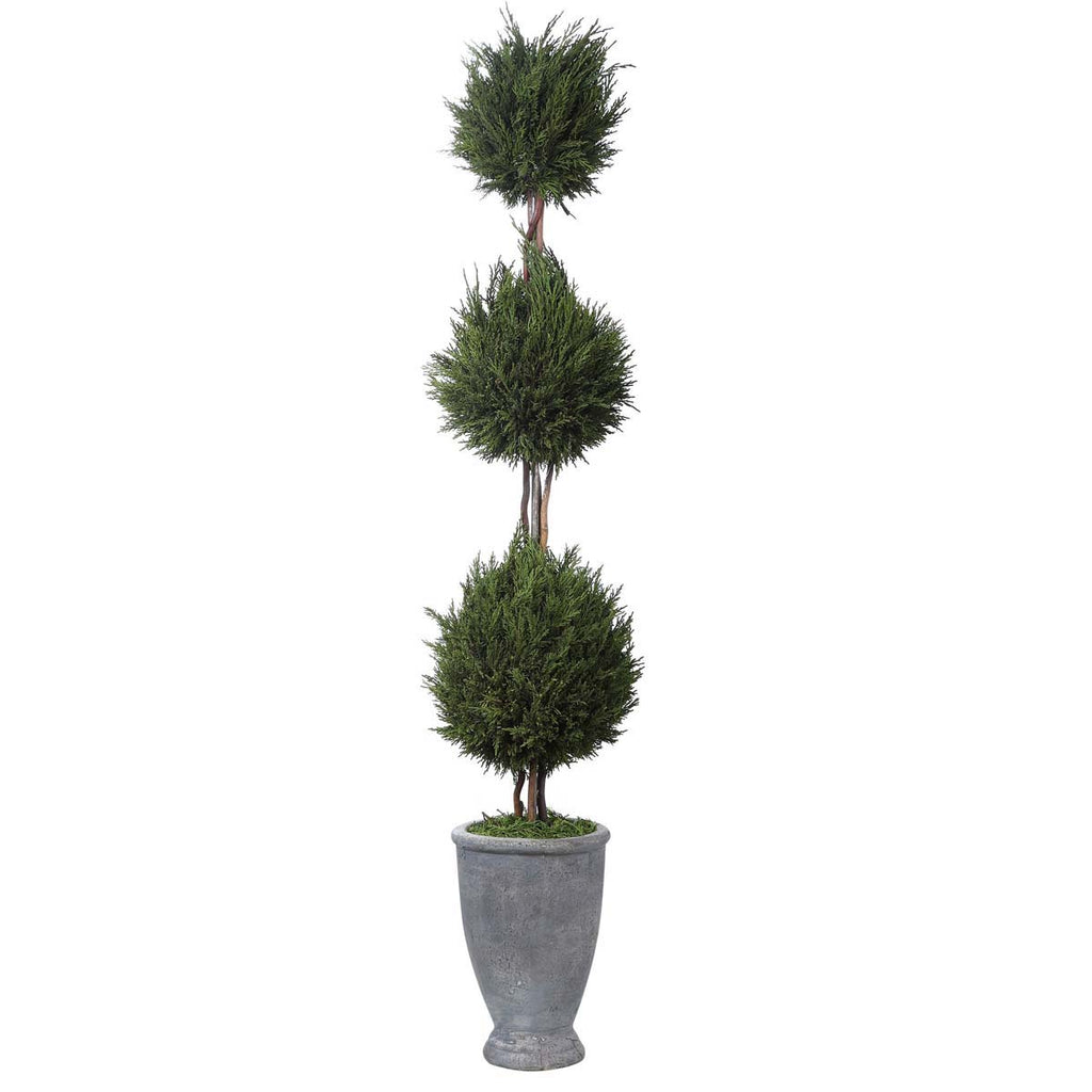 Uttermost Cypress Triple Topiary