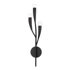 Hudson Valley Lighting 3 Light Wall Sconce - Aged Iron