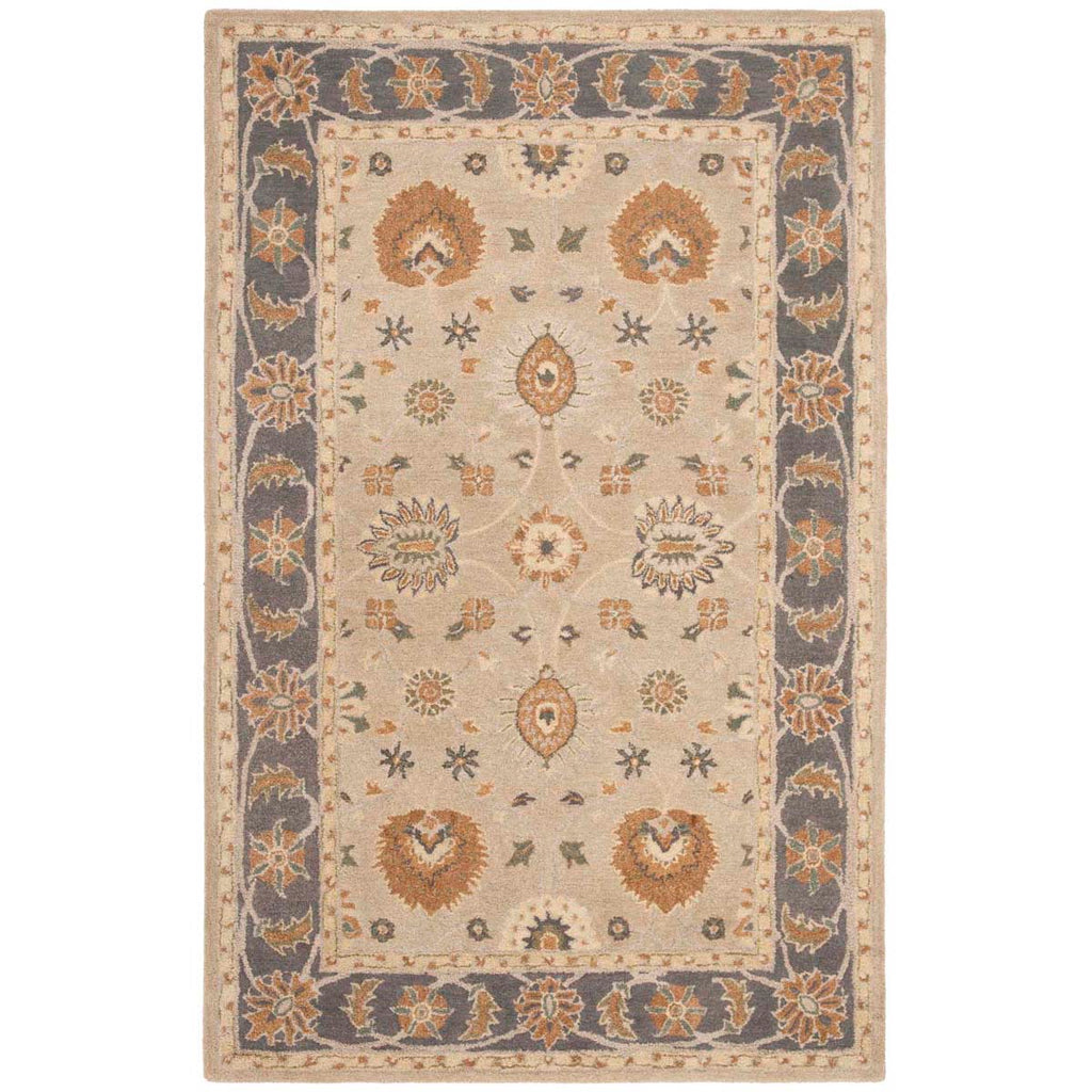 Safavieh Anatolia Rug Collection AN561A - Taupe / Grey