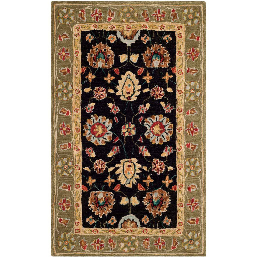 Safavieh Anatolia Rug Collection AN561C - Black / Green