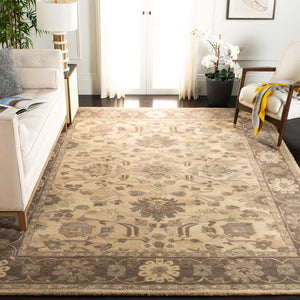 Safavieh Anatolia Rug Collection AN585H - Ivory / Grey