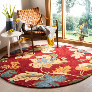 Blossom 672 Rug | Safavieh - BLM672
