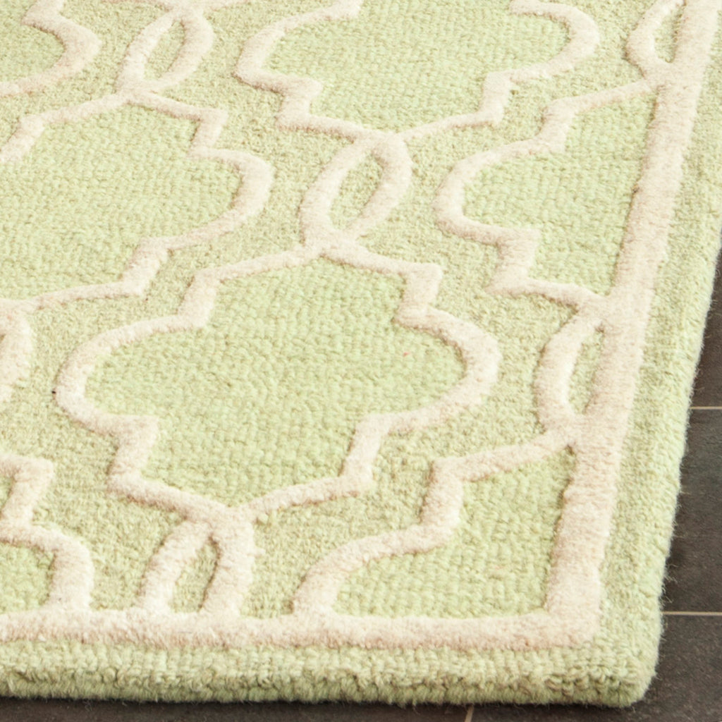 Contemporary Area Rug, CAM131B, 90 X 150 cm in Light Green / Ivory