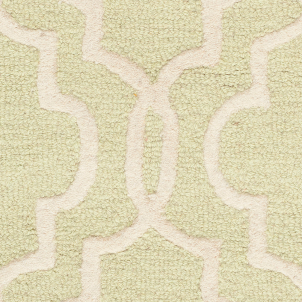 Contemporary Area Rug, CAM131B, 90 X 150 cm in Light Green / Ivory