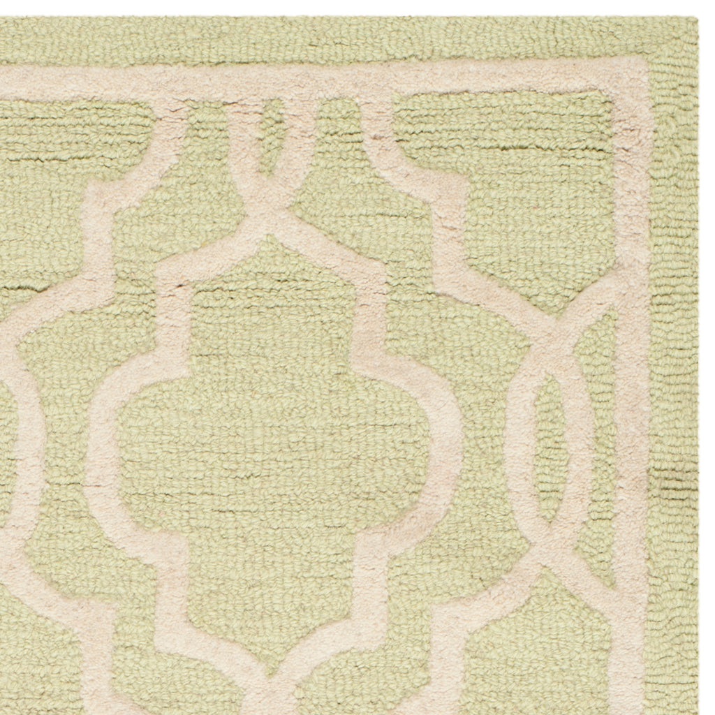 Contemporary Area Rug, CAM131B, 90 X 150 cm in Light Green / Ivory