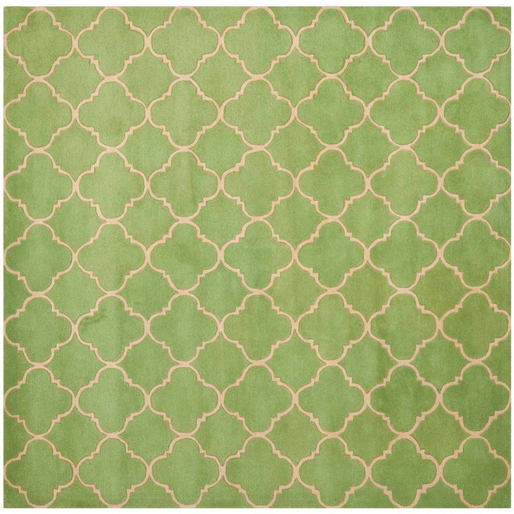 Safavieh Chatham Rug Collection CHT935B - Green