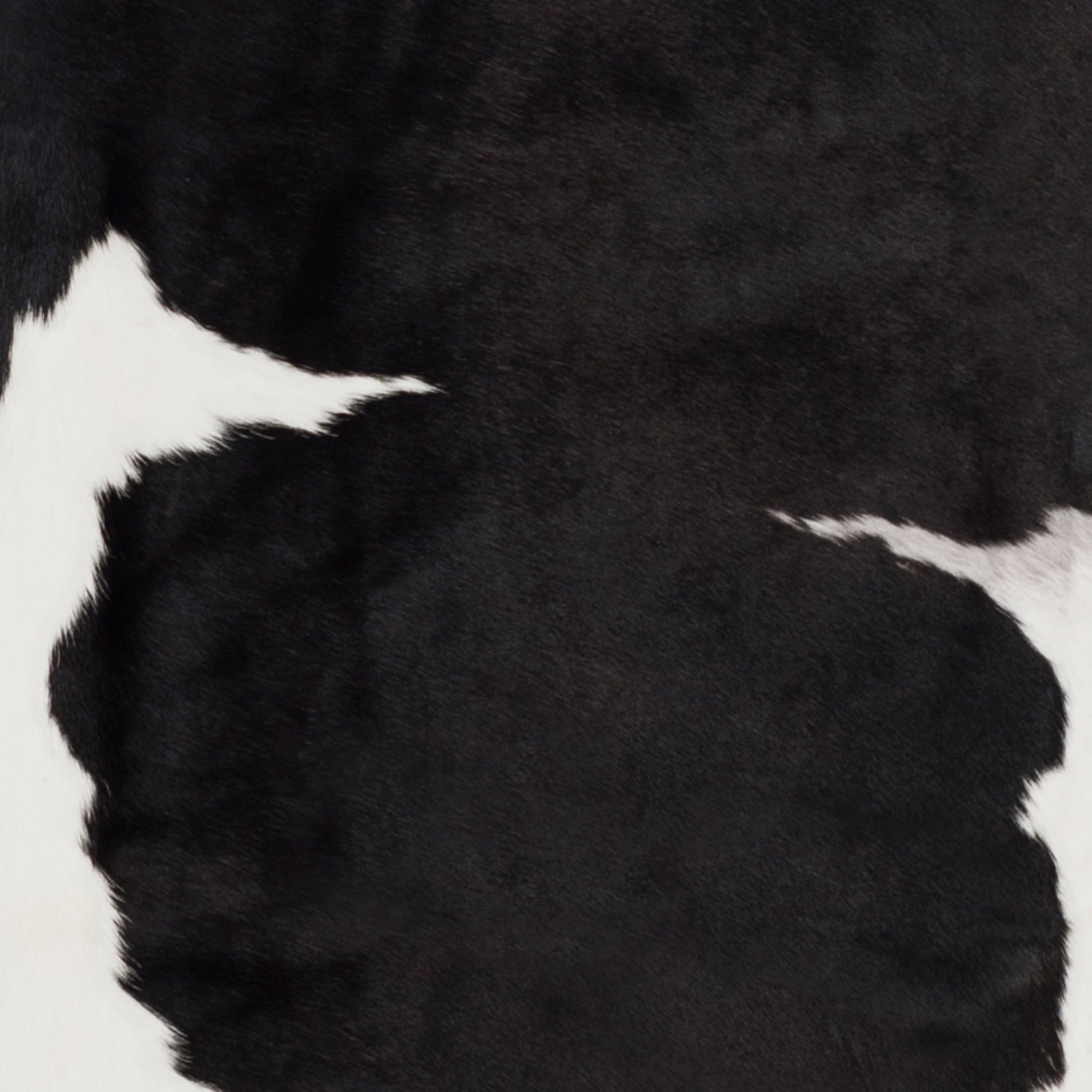 Safavieh Cow Hide Rug Collection COH211C - Black / Brown