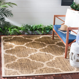 Safavieh Courtyard Rug Collection CY6243-242 - Brown